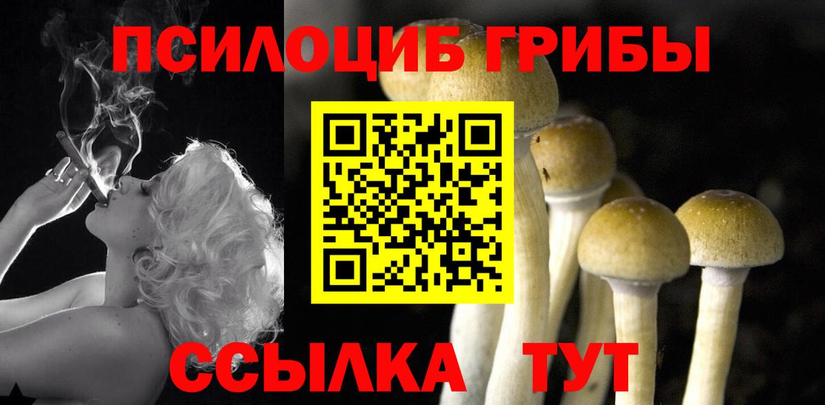 Галлюциногенные грибы Psilocybe Ливны