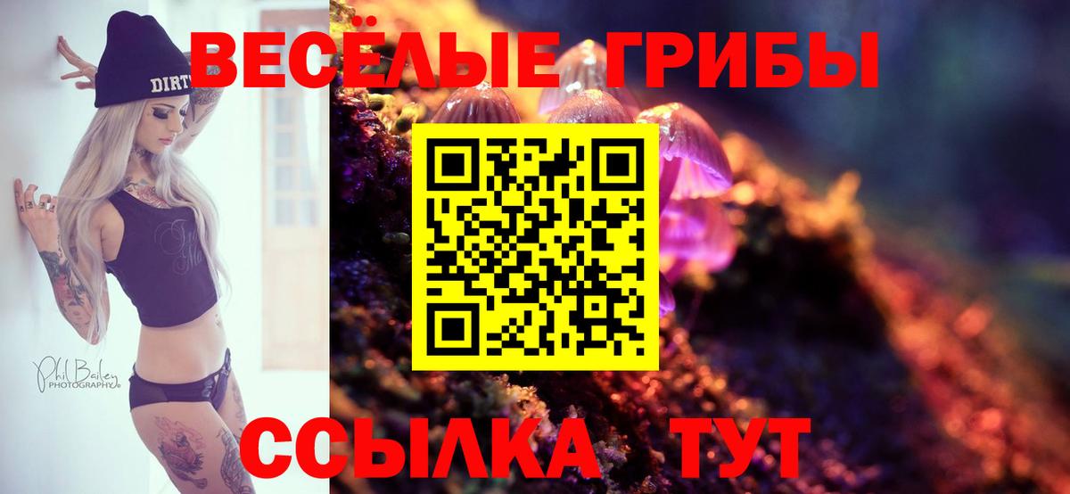 Псилоцибиновые грибы MAGIC MUSHROOMS  купить  сайты  Ливны  Вход с VPN  Псилоцибиновые грибы Cubensis 